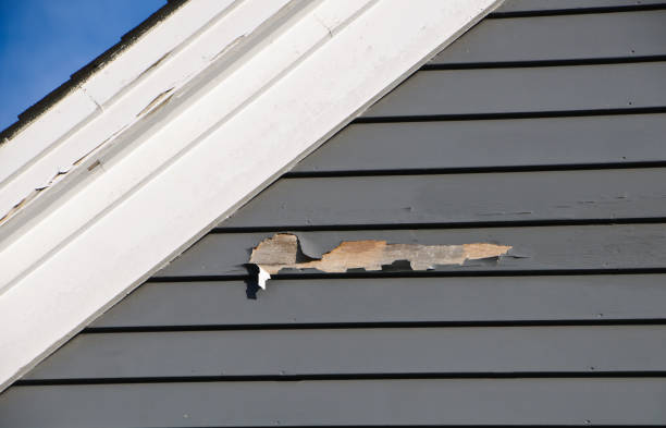 How To Choose The Right Materials for Your Siding Installation in 'Lake Andes, SD